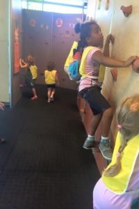 Climbing